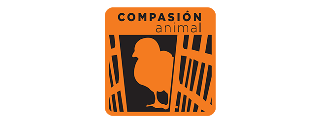 Compasión Animal, fundación para ayuda a los animales de granja